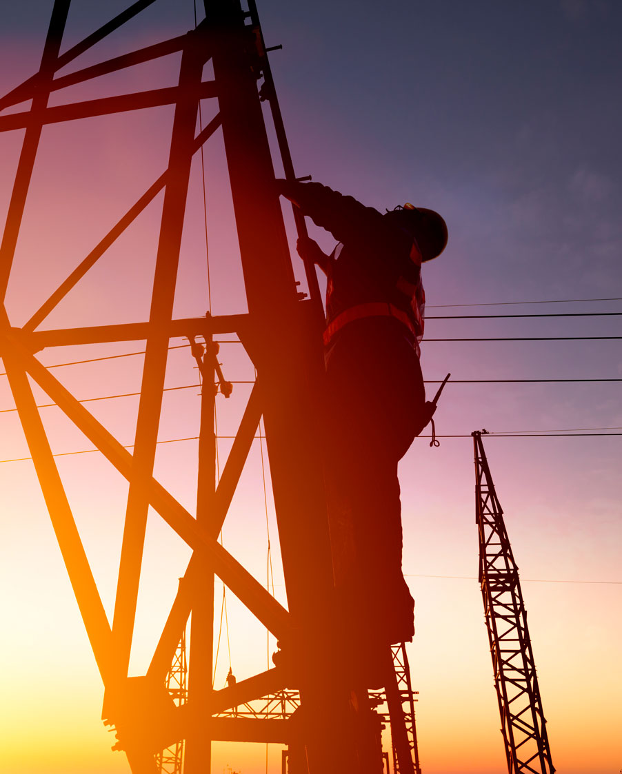 35364426_l-cropped-WEB 35364426_l-cropped-WEB